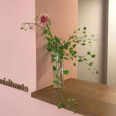 满堂彩app下载截图